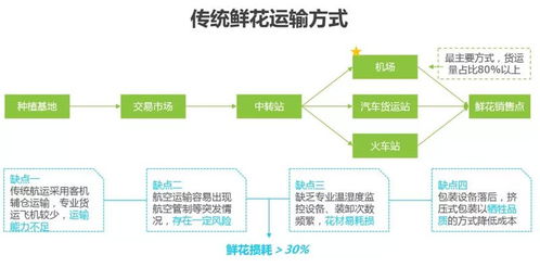 云阔鲜花电商运营大纲 供应链管理服务的创新与实践