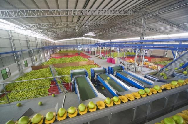 农产品供应链下共用仓库的成本管理模式是怎么样的
